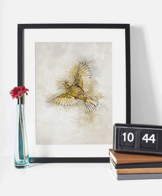 Bird Sketch Barty life