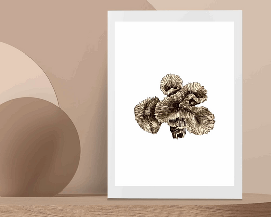 Coral 2 Wall Art Barty life