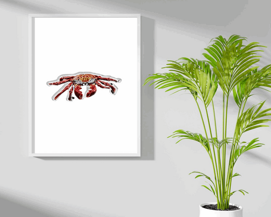 Crab Wall Art Barty life