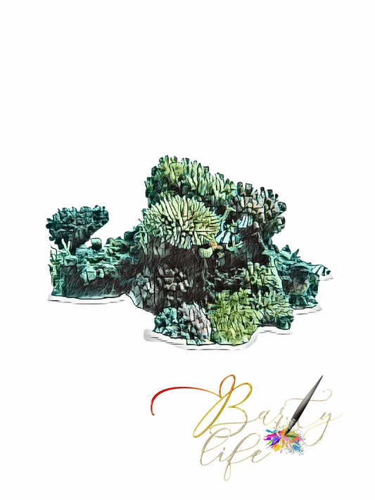 Corals Wall Art Barty life