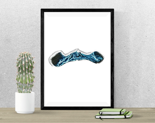 Manta Ray Wall Art Barty life