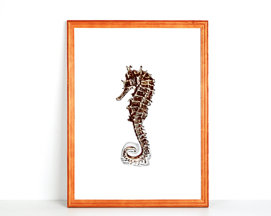 Sea Horse Wall Art Barty life