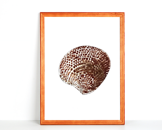 Shell Wall Art Barty life