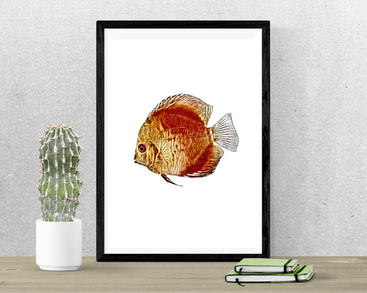 Tropical Fish 4 Wall Art Barty life