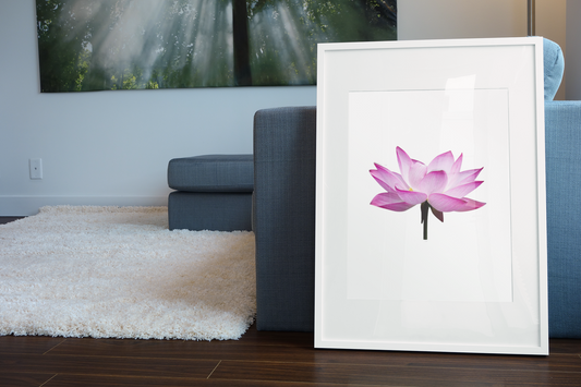 Lily 1 oil paint Barty life