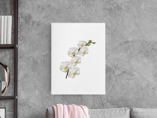 Elegant white orchid with a 3D effect on a white background, perfect for modern home decor