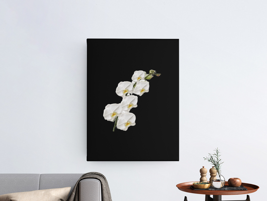 Orchid 4 oil paint Barty life