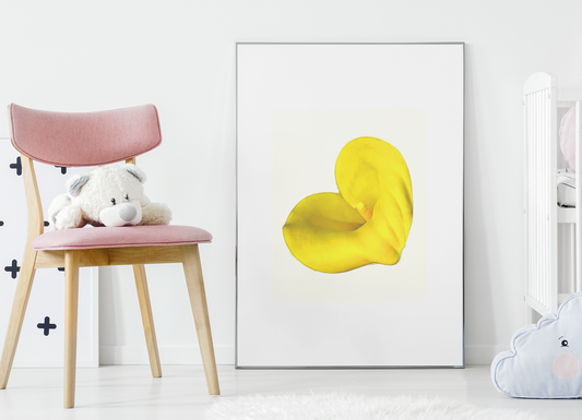 Yellow Calla oil paint Barty life