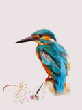 Beautiful Bird Oil Paint Barty life