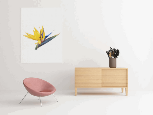 Hand-painted oil painting of a Bird of Paradise flower in full bloom with vibrant orange, red, and blue hues. Elegant and captivating wall art.
