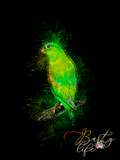 Green Parrot Wall Art Barty life