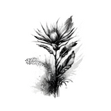 The Obsidian Bloom: Detailed Monochromatic Botanical Art Print