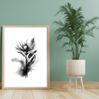 The Obsidian Bloom: Detailed Monochromatic Botanical Art Print