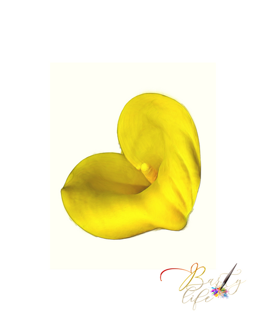 Yellow Calla oil paint Barty life