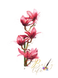 Orchid 7 Oil Paint Wall Art Barty life