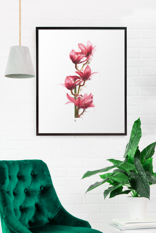 Orchid 7 Oil Paint Wall Art Barty life