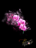 Orchid 9 Wall Art Barty life