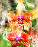 Orchid Watercolor Art Barty life