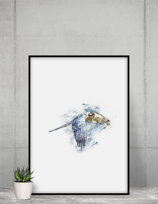 Parrot Ink Wall Art Barty life