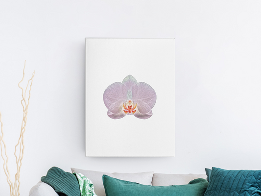 Orchid 5 wall art Barty life