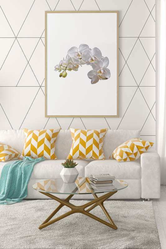 Orchid 6 wall art Barty life